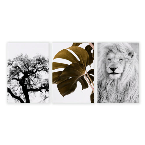 Wall Art Ideas For Living Room | Set of 3 African Wildlife Wall art Prints
