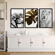 Wall Art Ideas For Living Room | Set of 3 African Wildlife Wall art Prints