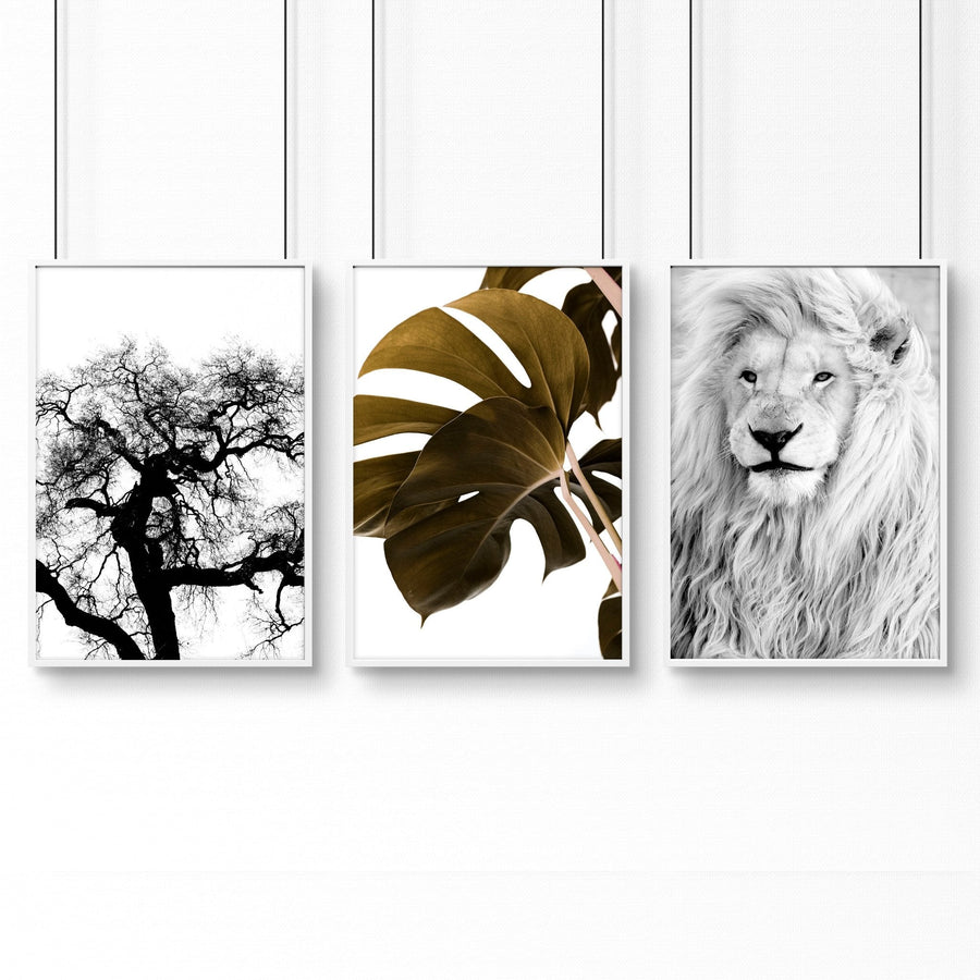 Wall Art Ideas For Living Room | Set of 3 African Wildlife Wall art Prints