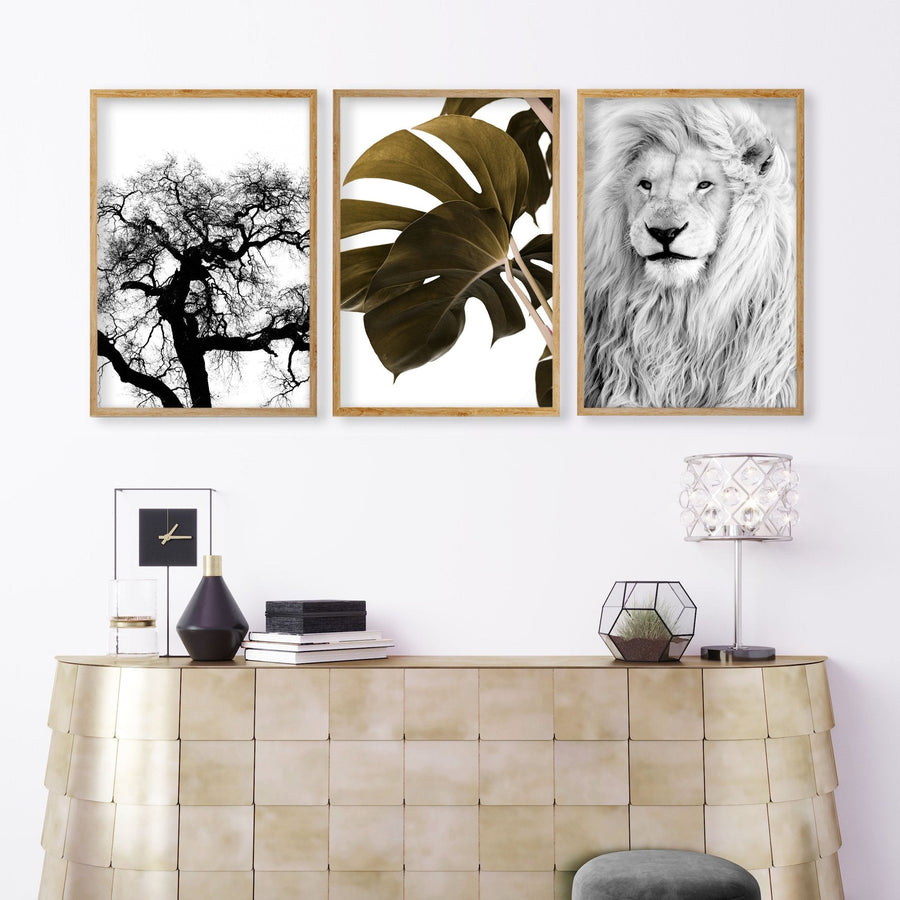 Wall Art Ideas For Living Room | Set of 3 African Wildlife Wall art Prints