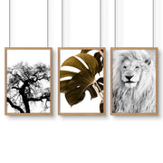 Wall Art Ideas For Living Room | Set of 3 African Wildlife Wall art Prints