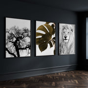 Wall Art Ideas For Living Room | Set of 3 African Wildlife Wall art Prints