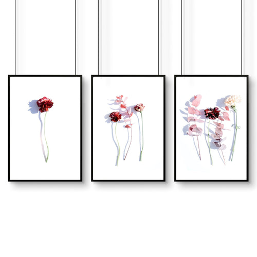 Bathroom wall hanging | set of 3 framed wall art