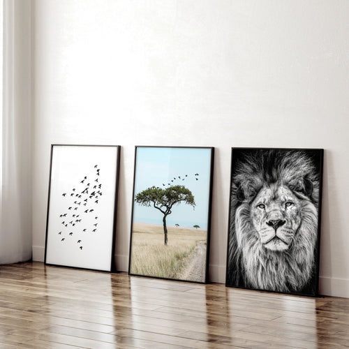 Wall Art Large Prints | Set of 3 African Wildlife Wall art Prints