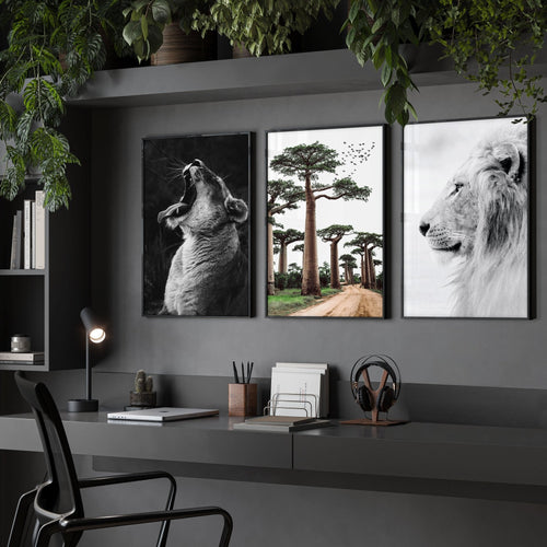Wall Art Pictures Framed | Set of 3 African Wildlife Wall art Prints