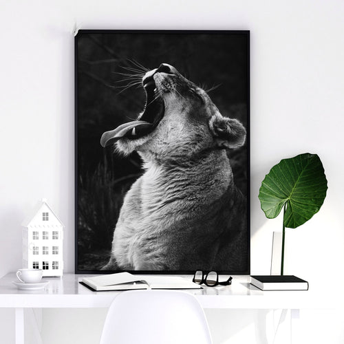 Wall Art Pictures Framed | Set of 3 African Wildlife Wall art Prints