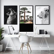 Wall Art Pictures Framed | Set of 3 African Wildlife Wall art Prints