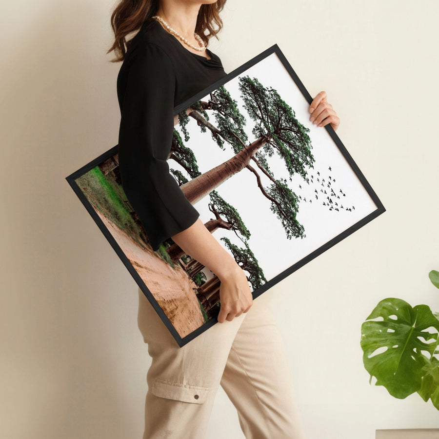 Wall Art Pictures Framed | Set of 3 African Wildlife Wall art Prints
