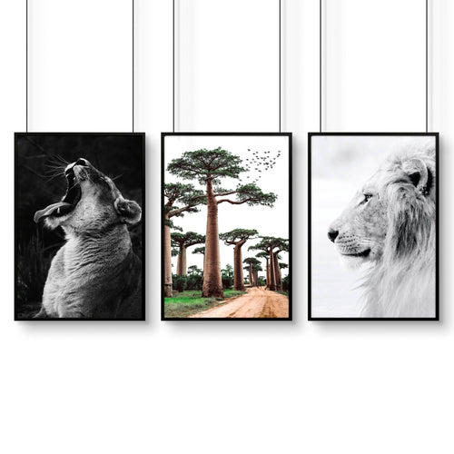 Wall Art Pictures Framed | Set of 3 African Wildlife Wall art Prints