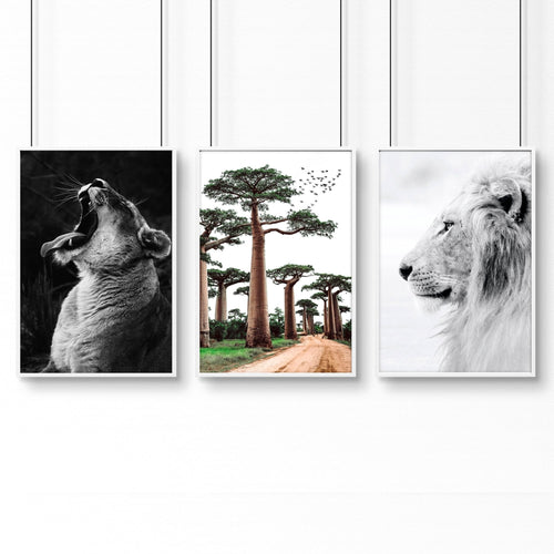 Wall Art Pictures Framed | Set of 3 African Wildlife Wall art Prints