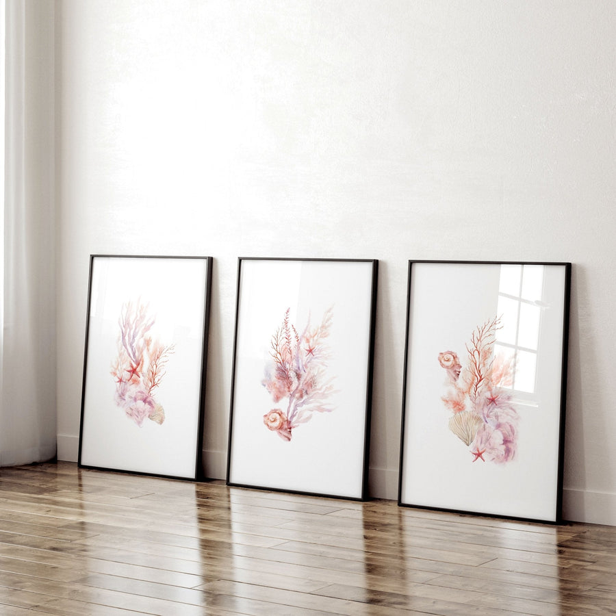 Wall Art Sea | Set of 3 Seashells Wall art Prints