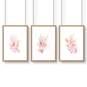 Wall Art Sea | Set of 3 Seashells Wall art Prints