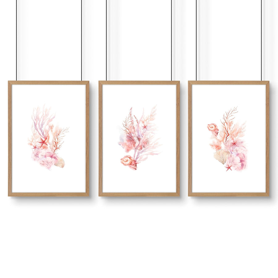 Wall Art Sea | Set of 3 Seashells Wall art Prints