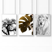 Wall Hanging Art | Set of 3 African Wildlife Wall art Prints