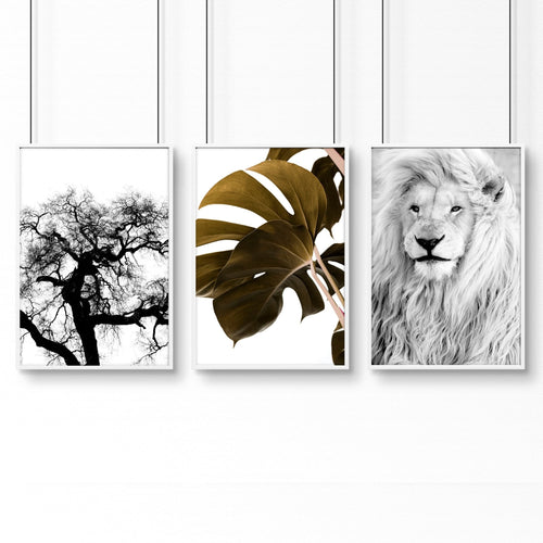 Wall Hanging Art | Set of 3 African Wildlife Wall art Prints