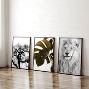 Wall Hanging Art | Set of 3 African Wildlife Wall art Prints