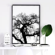 Wall Hanging Art | Set of 3 African Wildlife Wall art Prints