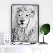 Wall Hanging Art | Set of 3 African Wildlife Wall art Prints