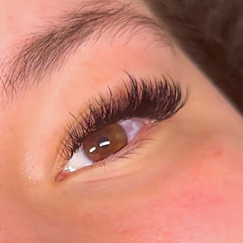 Sample Wet Lash Tray