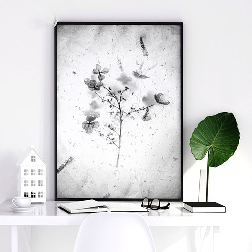 Wall arts black and white | set of 3 framed wall art prints