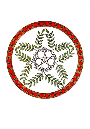 Wood Wisdom - Cards for Meditation and Guidance by H. Catherine Watling