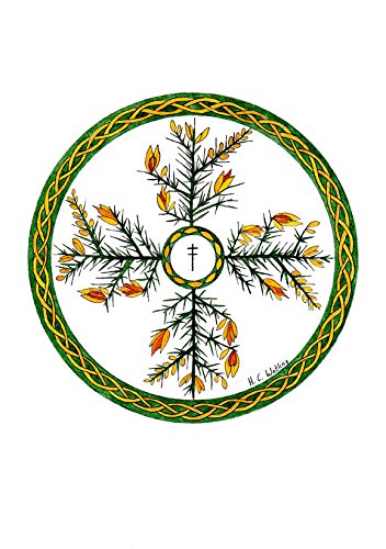 Wood Wisdom - Cards for Meditation and Guidance by H. Catherine Watling